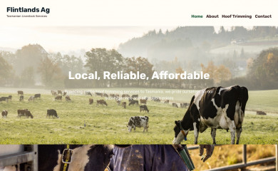 flintlandsag.com screenshot