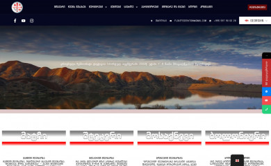 floatfederation.ge screenshot