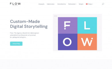 flowtheagency.com screenshot