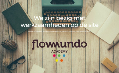 flowmundo.nl screenshot