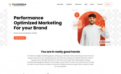 flymedia.in screenshot