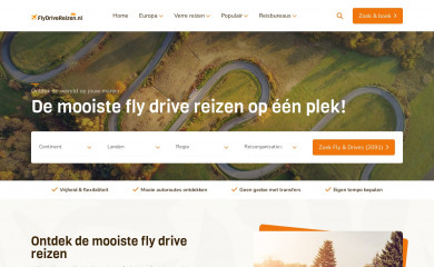 flydrivedirect.nl screenshot