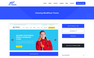 https://flythemes.net/wordpress-themes/free-cleaning-wordpress-theme/ screenshot