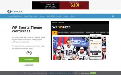 WP Sports Theme screenshot