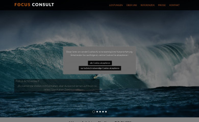 focus-consult.at screenshot