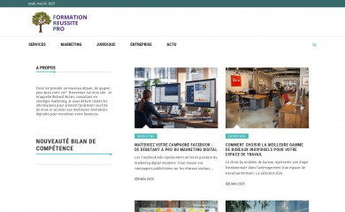 formation-reussitepro.com screenshot