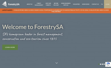 forestrysa.com.au screenshot