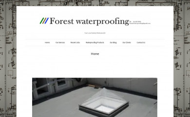 forestwaterproofing.com screenshot