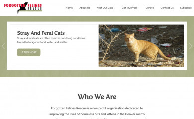 forgottenfelinesdenver.org screenshot