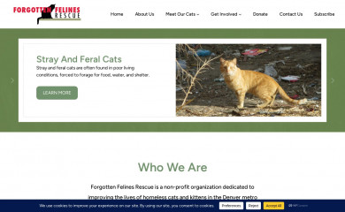 forgottenfelinesdenver.org screenshot