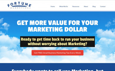 fortunemarketinginc.com screenshot