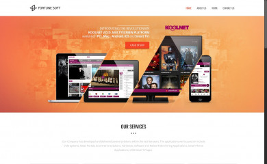 fortunesoft.ro screenshot