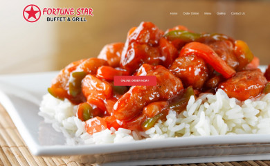 fortunestarbutler.com screenshot