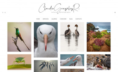 fotofauna.cl screenshot