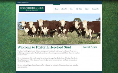 foxforthherefords.com.au screenshot