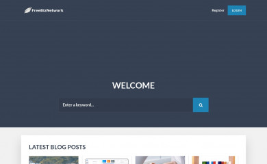 freebiznetwork.com screenshot