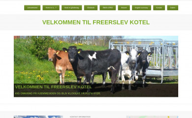 freerslevkotel.dk screenshot