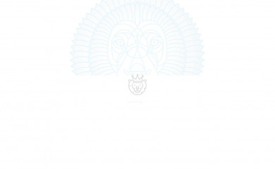 freestylemg.com screenshot