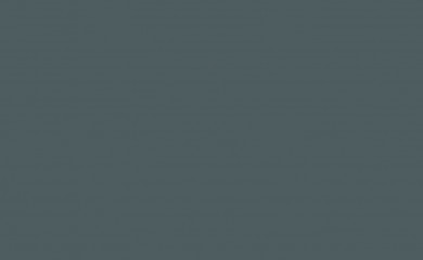 frietje2go.nl screenshot