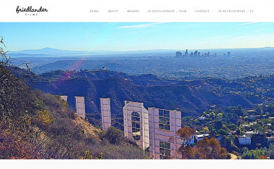 friedlanderfilms.com screenshot