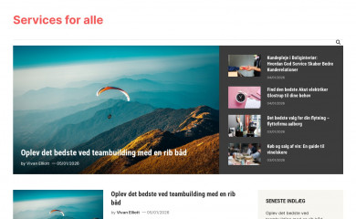 friskbrisstudio.dk screenshot