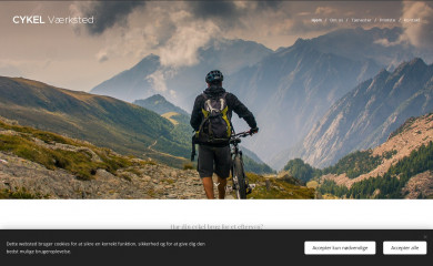 frosterne.dk screenshot
