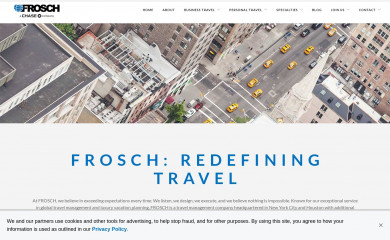frosch.com screenshot
