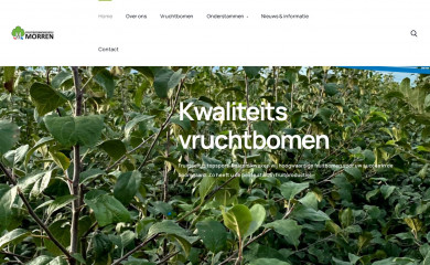 fruitboomkwekerijmorren.nl screenshot