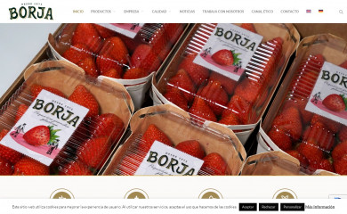 frutasborja.es screenshot