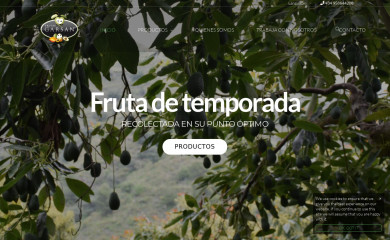 frutasgarsan.com screenshot