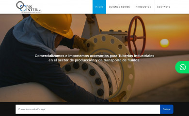 fssinter.com screenshot