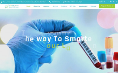 gts-sys.com screenshot