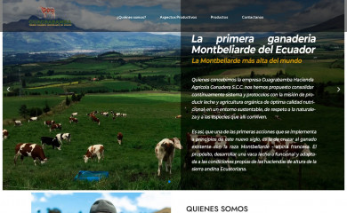 guagrabamba.com screenshot