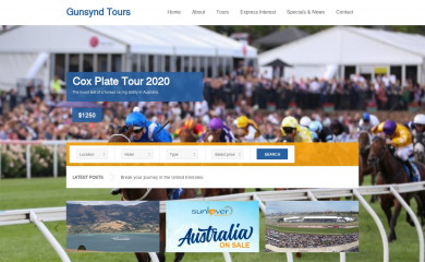 gunsyndtours.com.au screenshot
