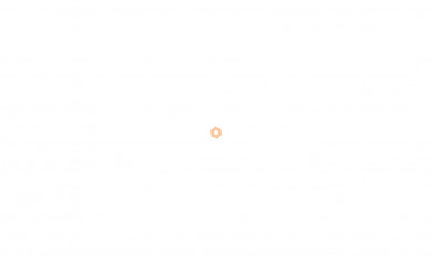 gut-bebra.de screenshot