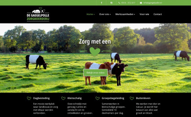 gaegelpolle.nl screenshot