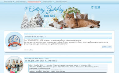 galeksy.com screenshot
