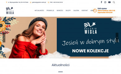 galeria-wisla.pl screenshot