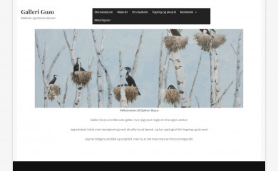 gallerigozo.dk screenshot