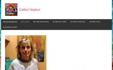 gallerineptun.dk screenshot