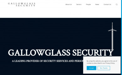 gallowglasssecurity.com screenshot