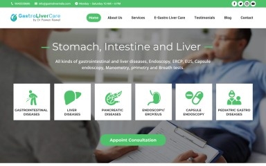 gastroliverindia.com screenshot