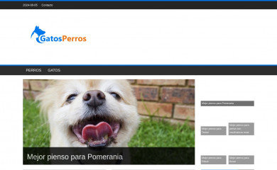gatos-perros.com screenshot