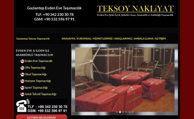gaziantepevdeneve-tasimacilik.com screenshot
