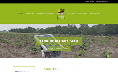 gdelight.com screenshot