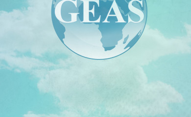 geassrl.net screenshot