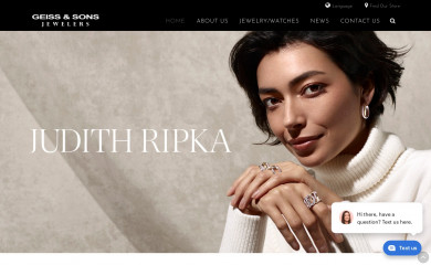 geiss.com screenshot