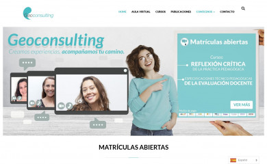 geoconsulting.cl screenshot