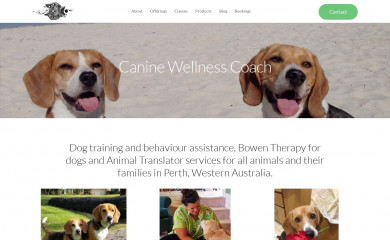 georgiadeniet.com screenshot