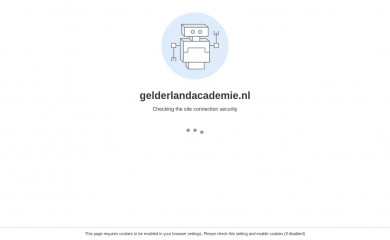 gelderlandacademie.nl screenshot